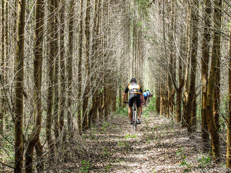 Passeio Ciclístico - "Ninho dos Falcões"